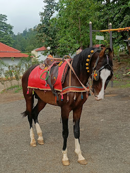 Adventure Activities